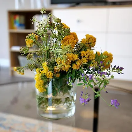 Apartamento Pag Sea View