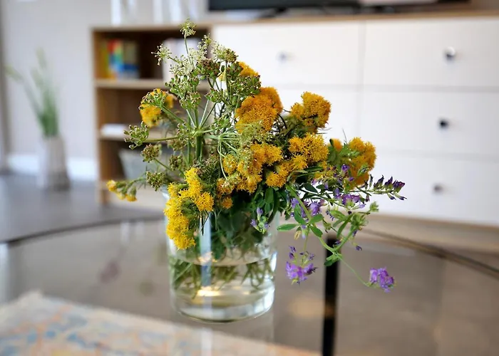 Апартаменты Pag Sea View